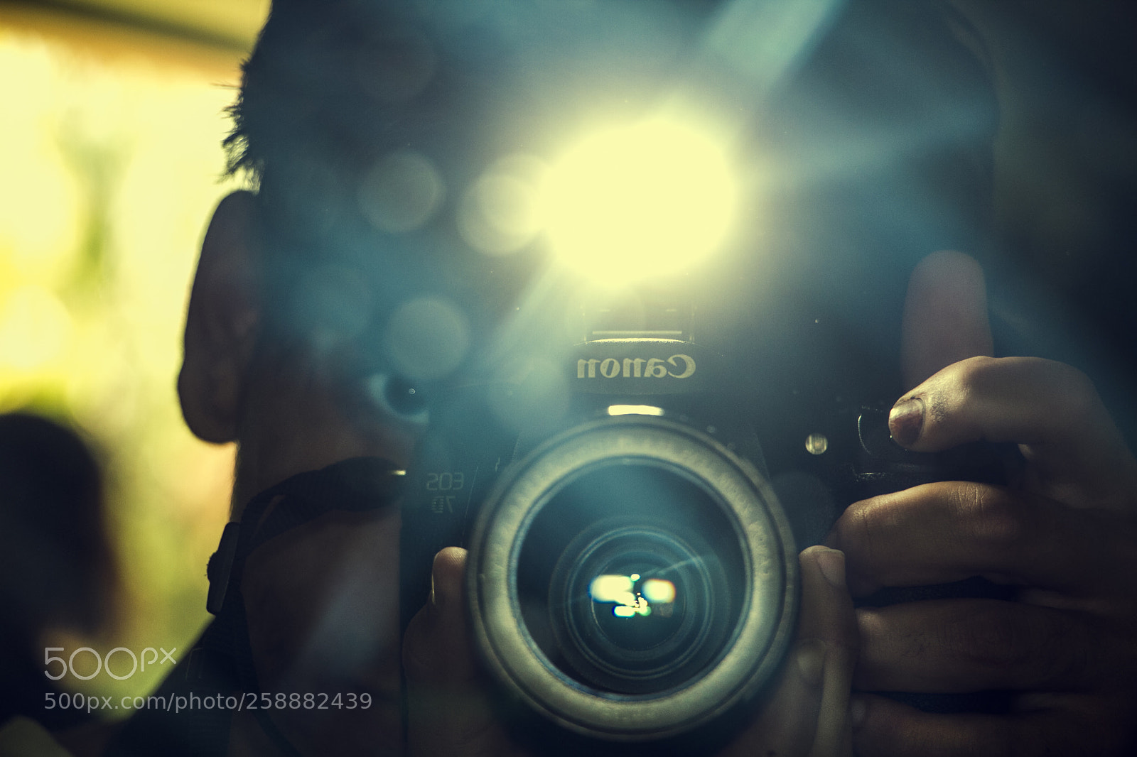 Canon EOS 7D sample photo. Ramin kazim photography