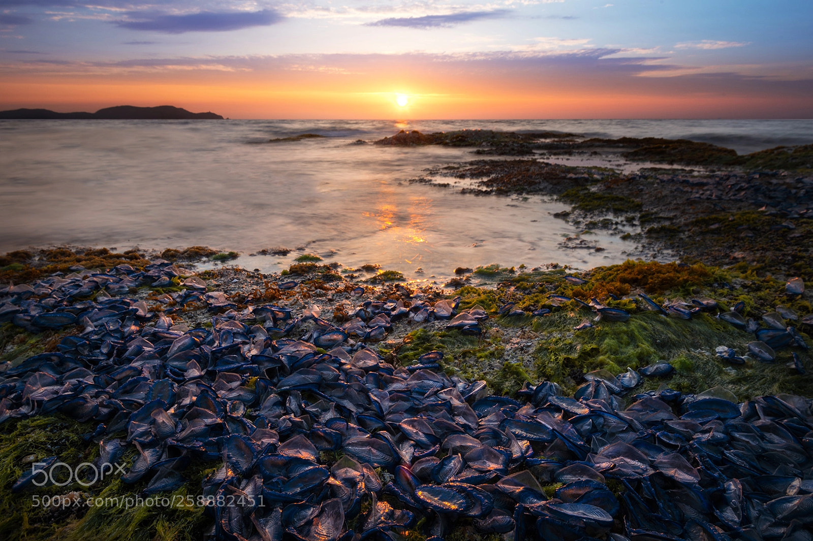 Nikon D750 sample photo. [ vélelles à punta caldanu ] photography