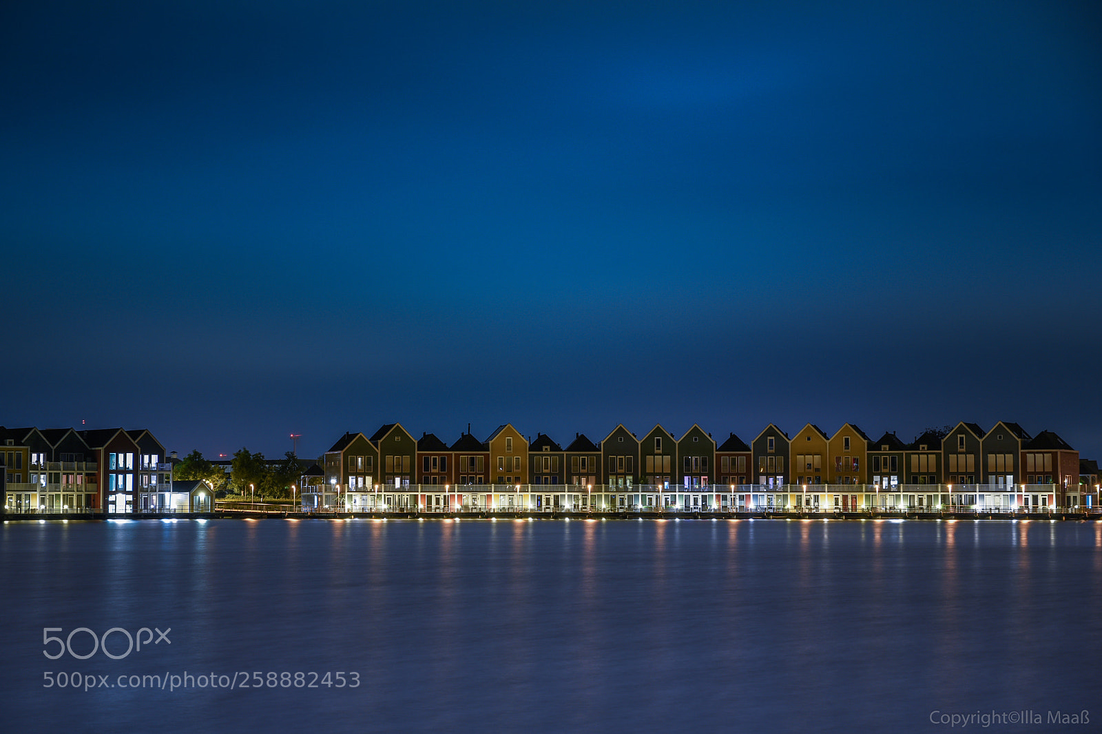 Nikon D750 sample photo. Houten photography