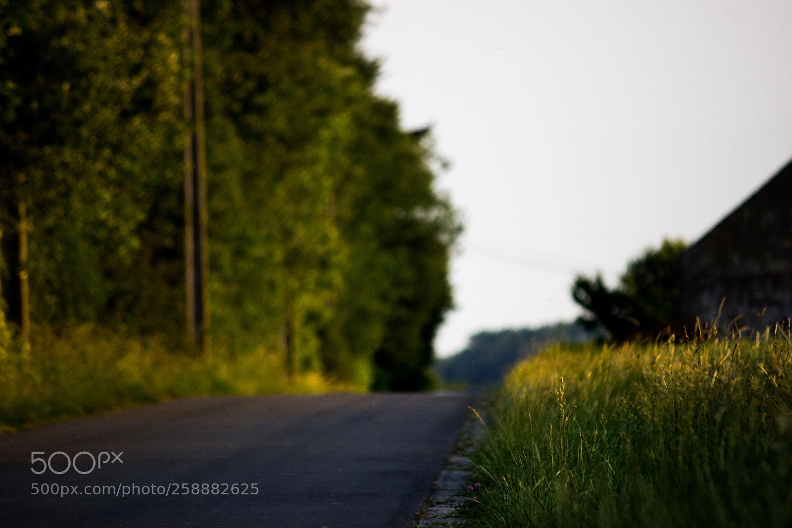 Canon EOS 600D (Rebel EOS T3i / EOS Kiss X5) sample photo. Countryside street photography
