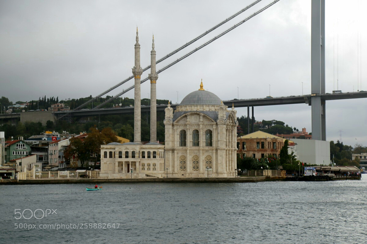 Canon EOS 6D sample photo. Untitled photography