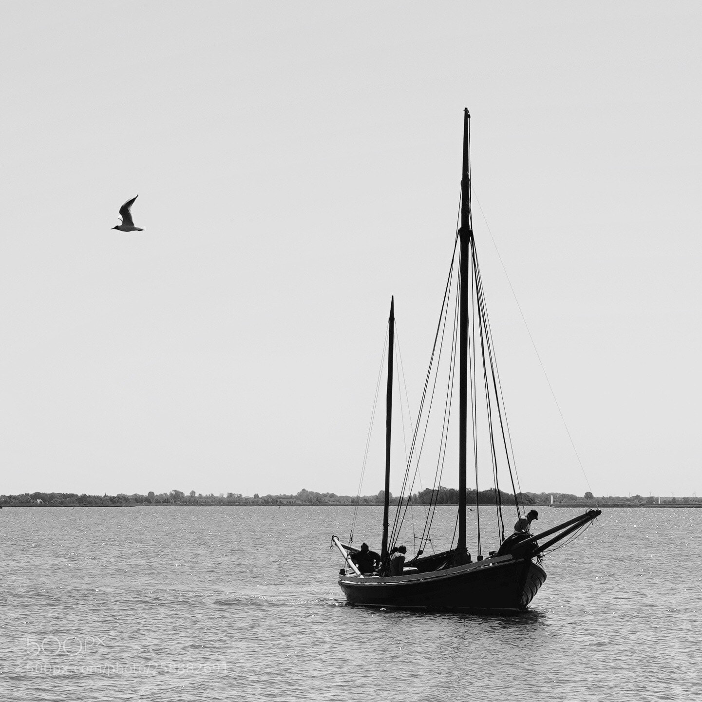 Sony a7R III sample photo. Boat with gull photography