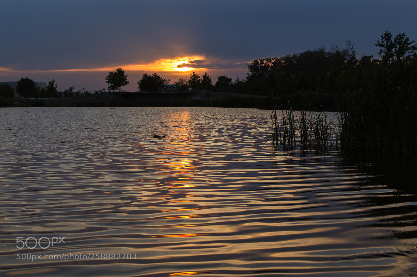 Nikon D3200 sample photo. Moment of peace photography
