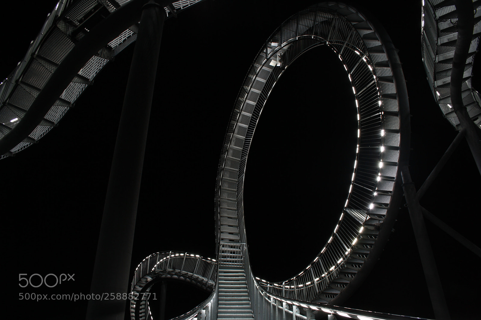 Canon EOS 1000D (EOS Digital Rebel XS / EOS Kiss F) sample photo. Tiger and turtle photography