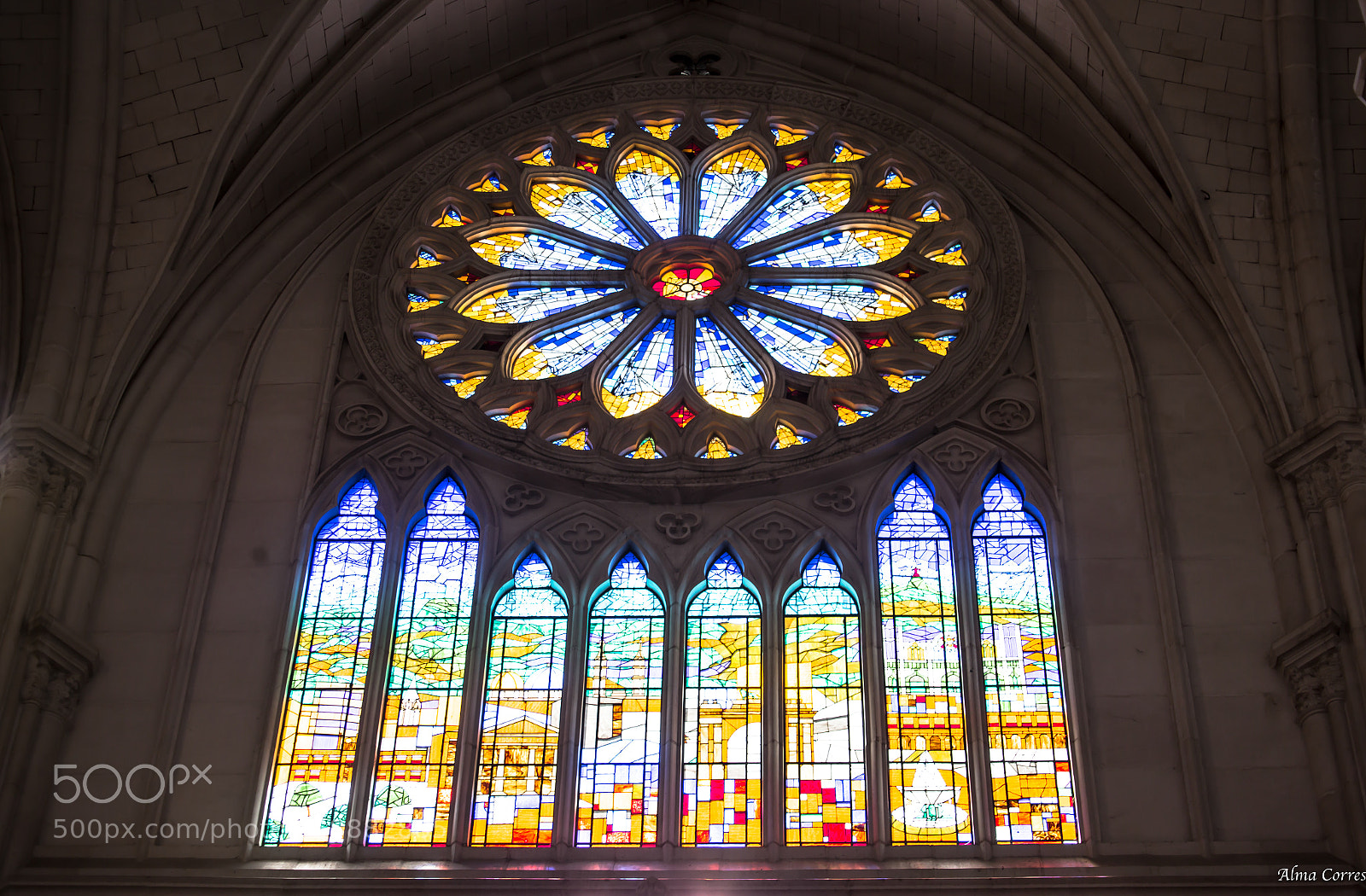 Canon EOS 6D sample photo. The other rose window photography