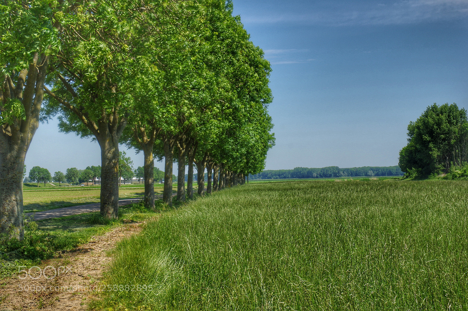 Pentax K-3 sample photo. Noordwaard photography