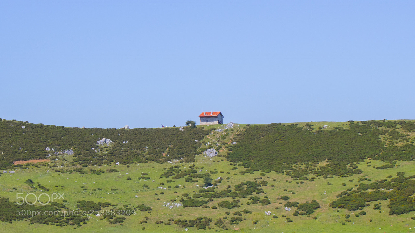 Canon EOS 750D (EOS Rebel T6i / EOS Kiss X8i) sample photo. Houses photography
