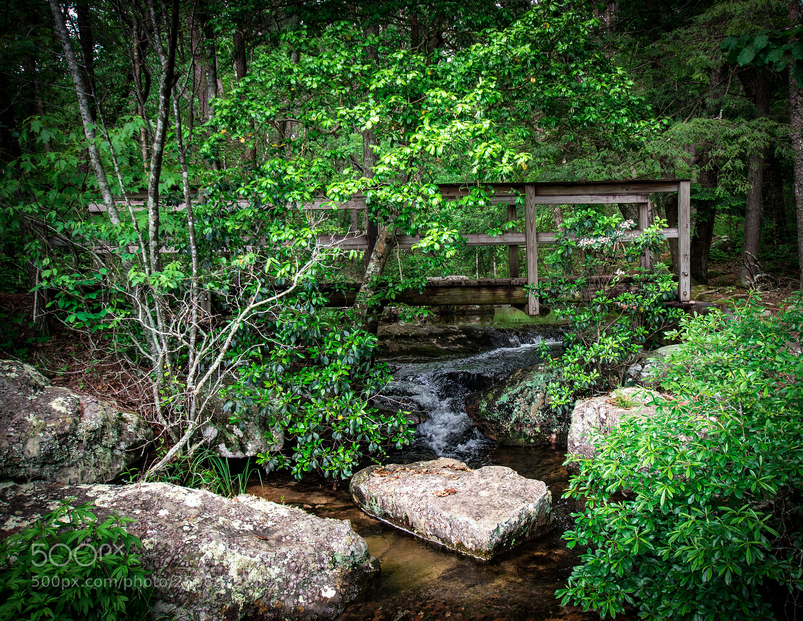 Nikon D5500 sample photo. Small bridge photography