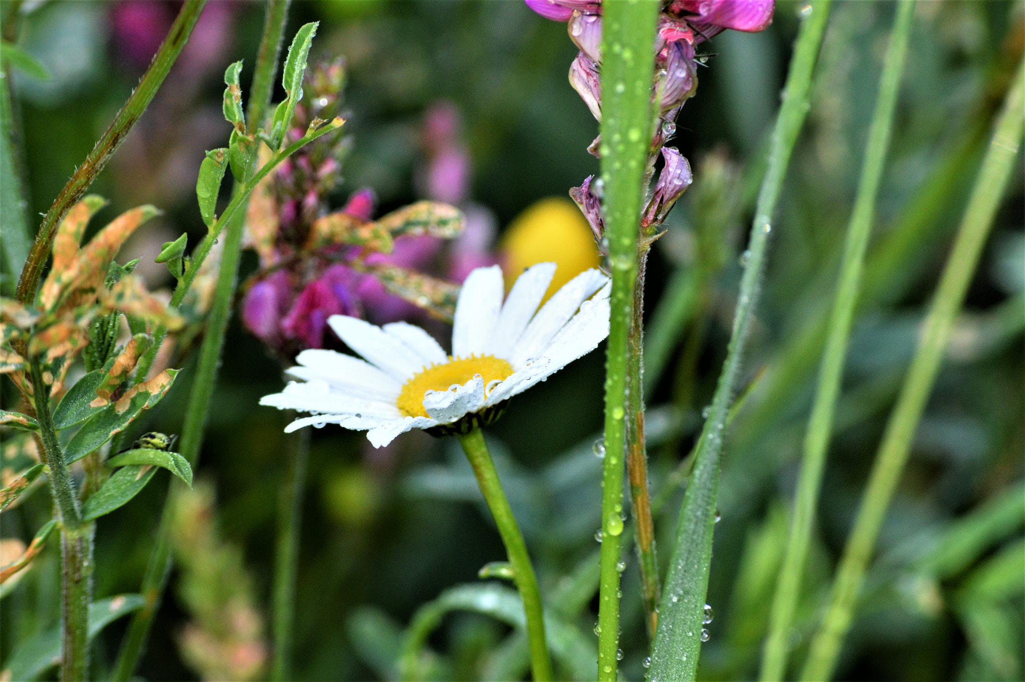 Nikon D3200 sample photo. () photography