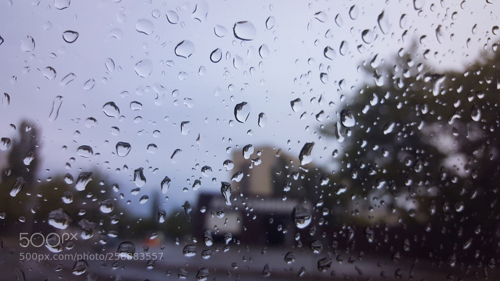 Samsung GALAXY S6 edge sample photo. Rainy photography