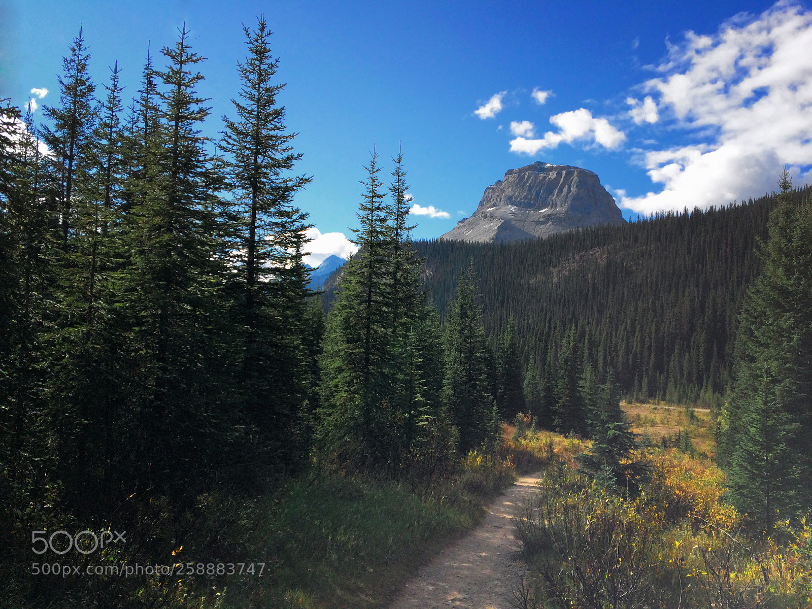 Apple iPhone 5s sample photo. Wapta mountain photography