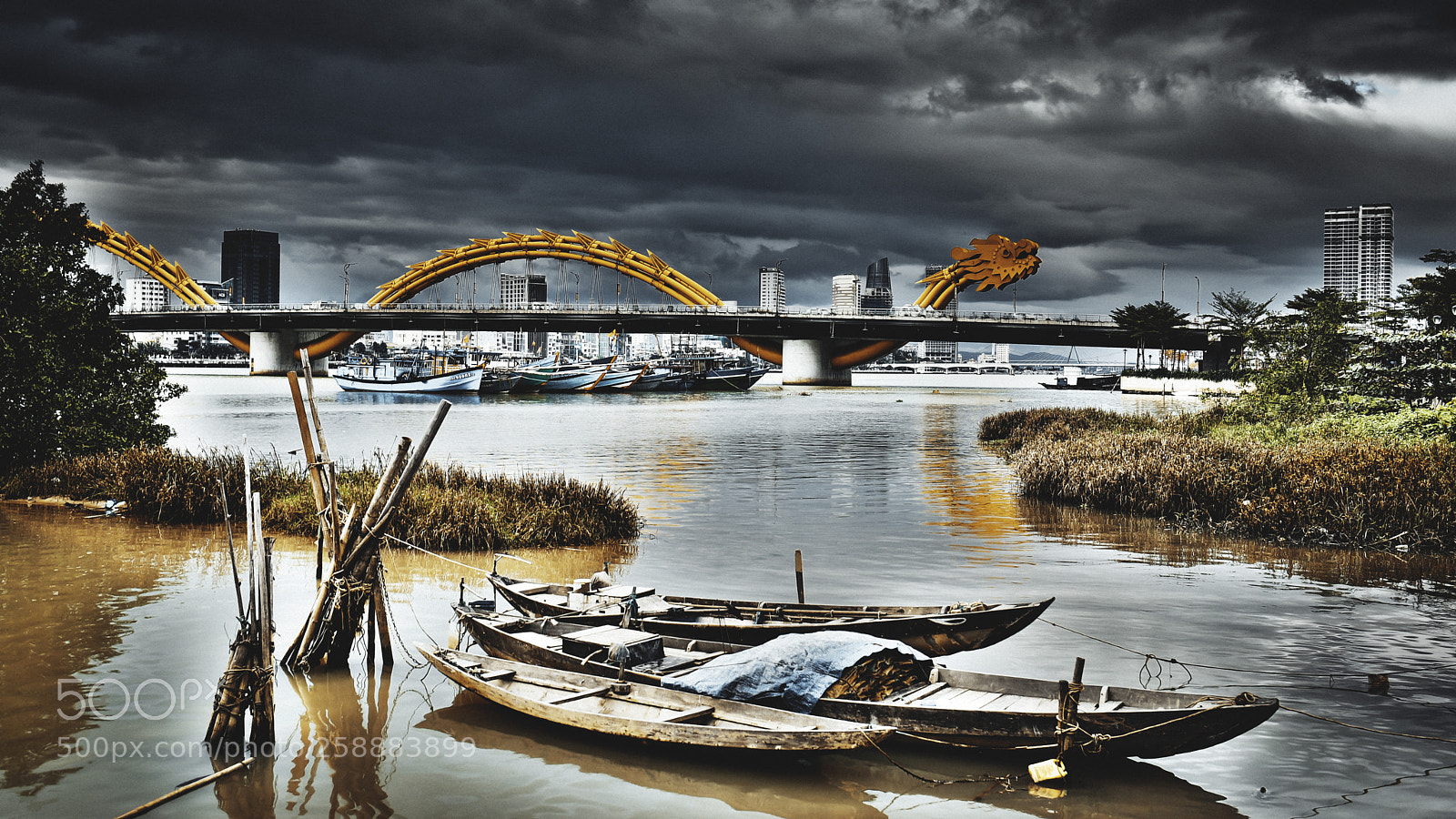 Nikon D750 sample photo. Cầu rồng.. photography