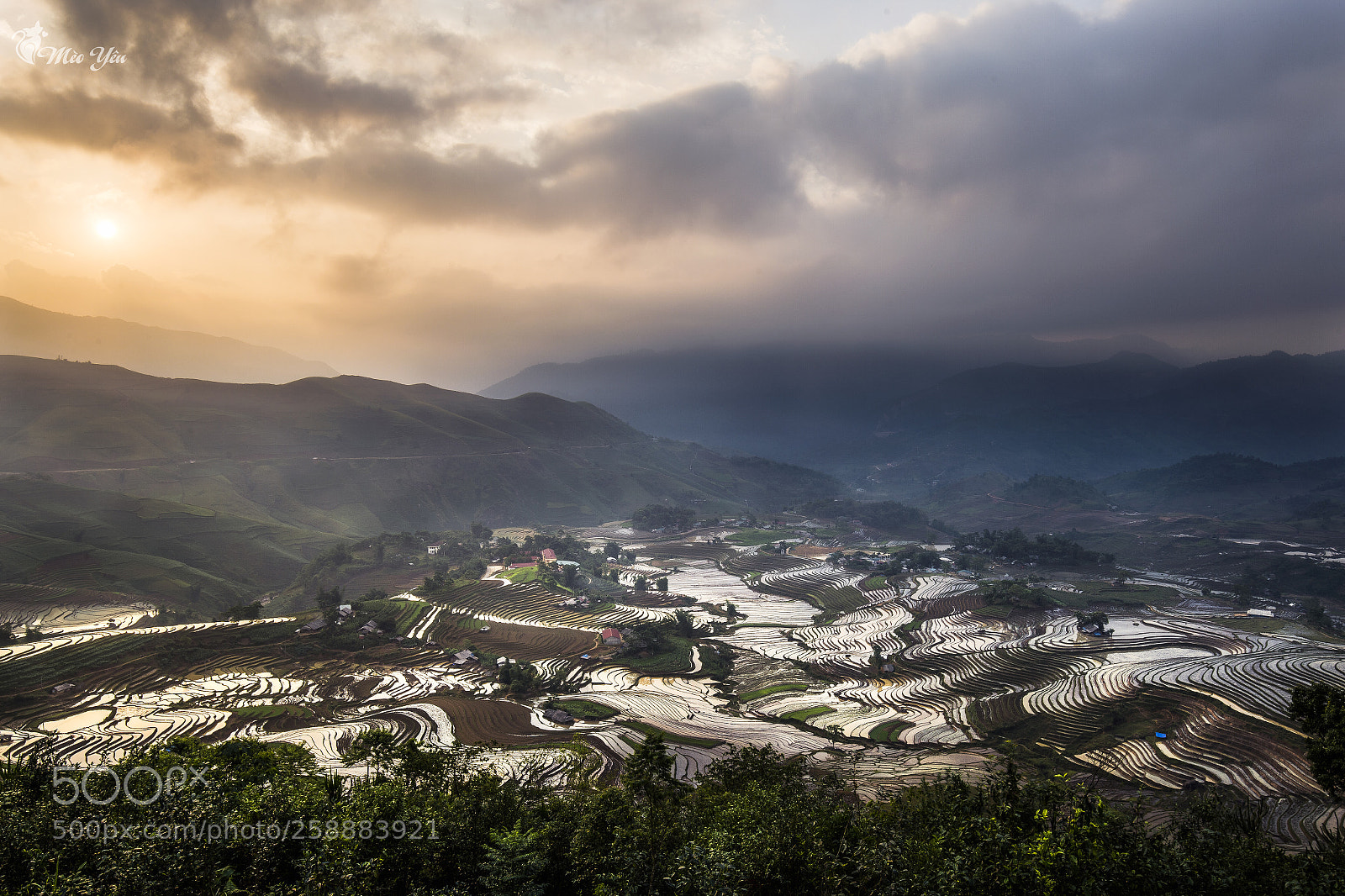 Canon EOS 6D sample photo. Sunrise on teraced fields photography