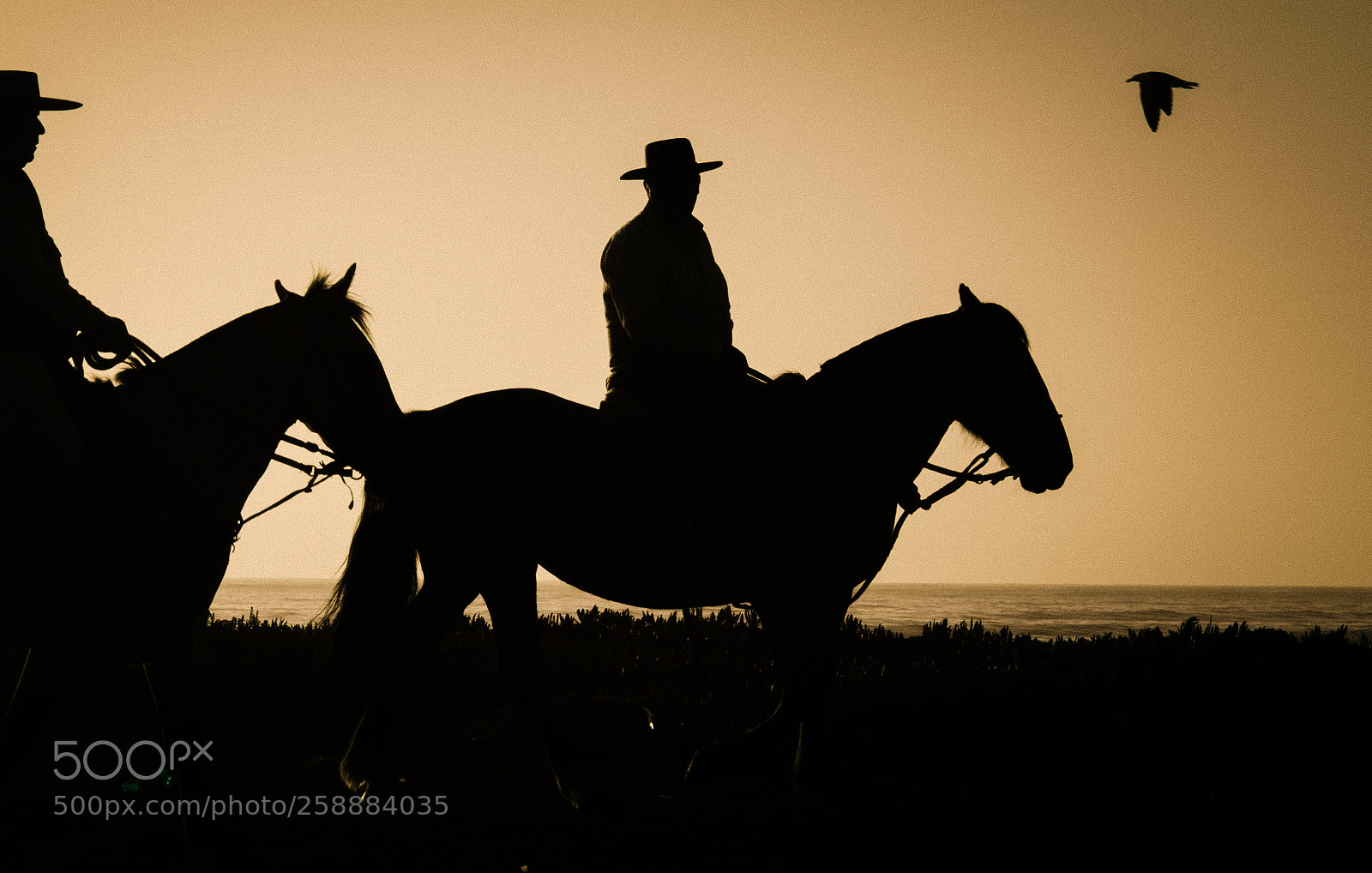 Nikon D7000 sample photo. Playa photography