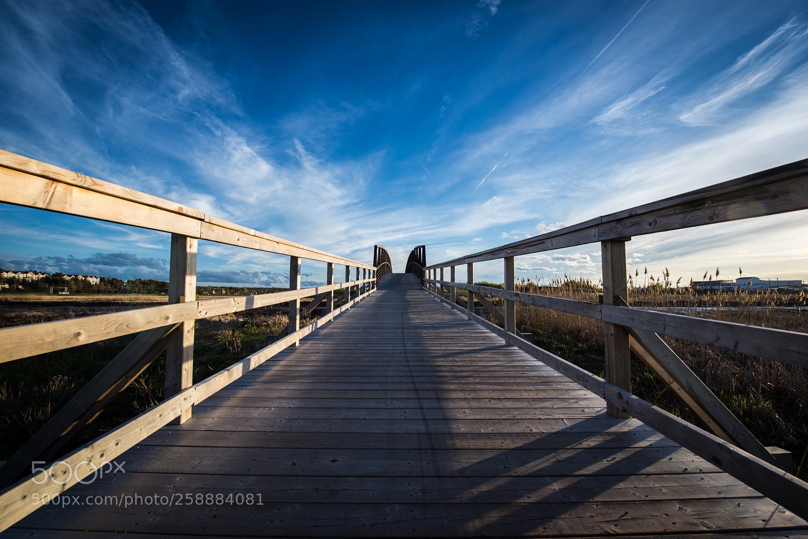 Nikon D810 sample photo. Foot bridge moncton photography