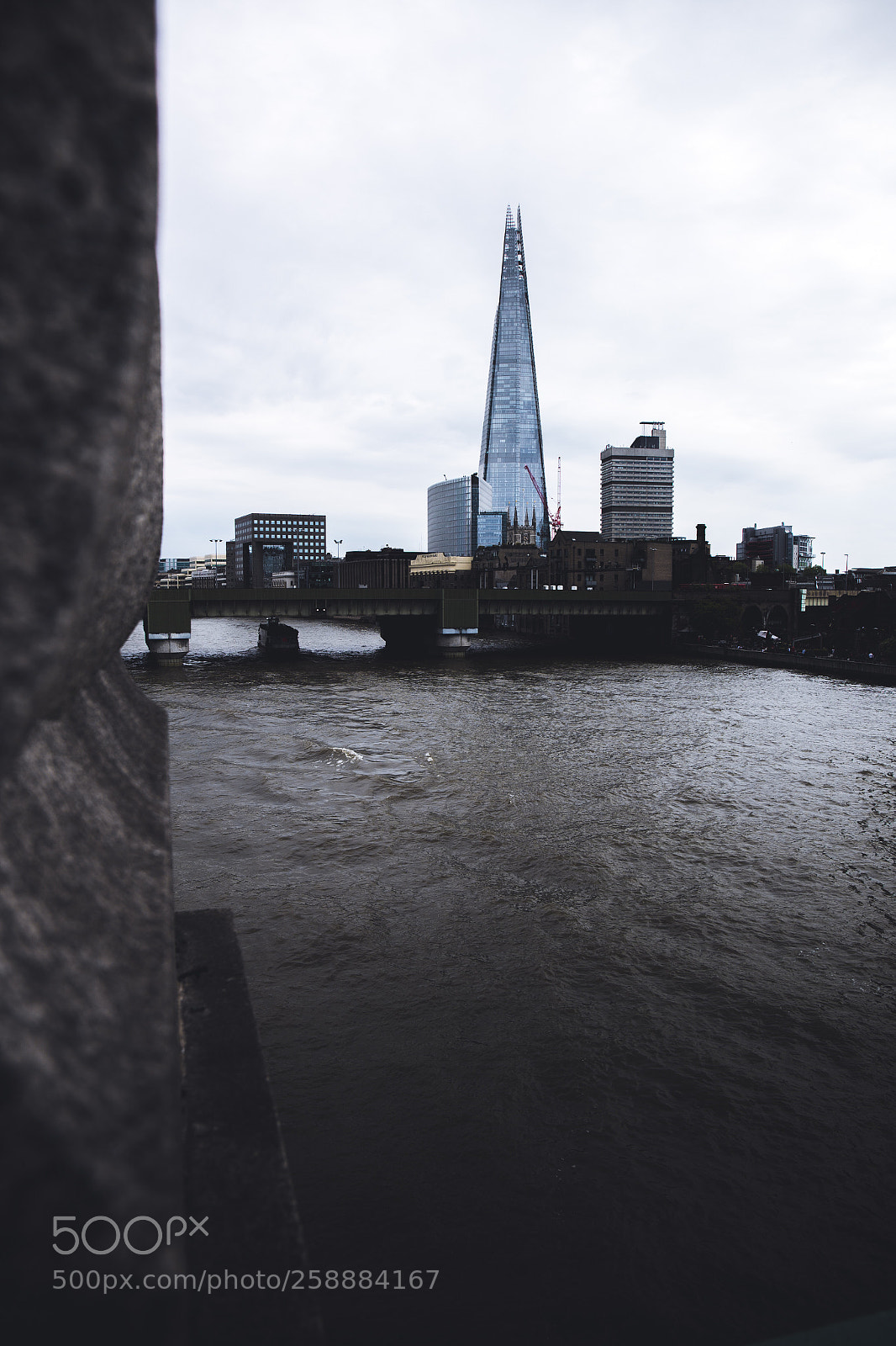 Canon EOS-1D X Mark II sample photo. Untitled photography