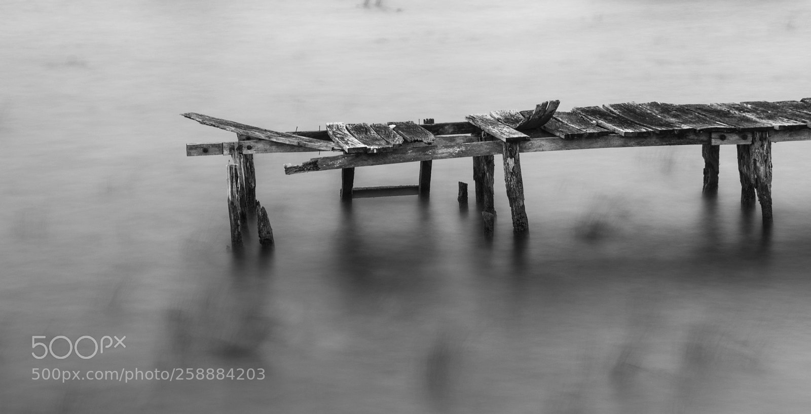 Canon EOS 80D sample photo. Dock photography