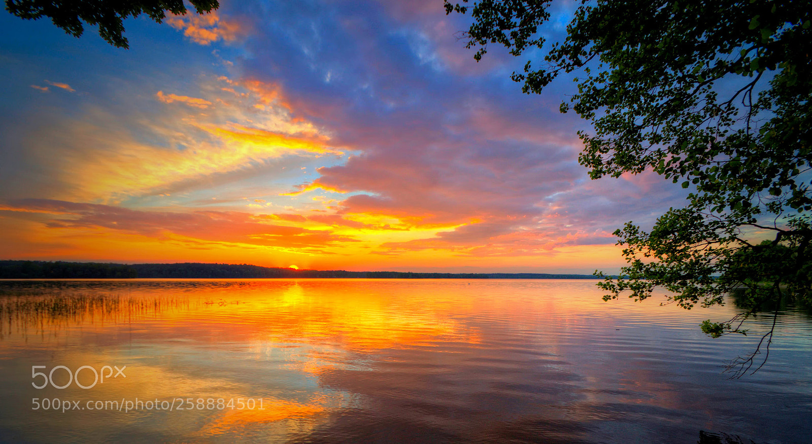 Pentax K-30 sample photo. Sunset, lake and branches photography