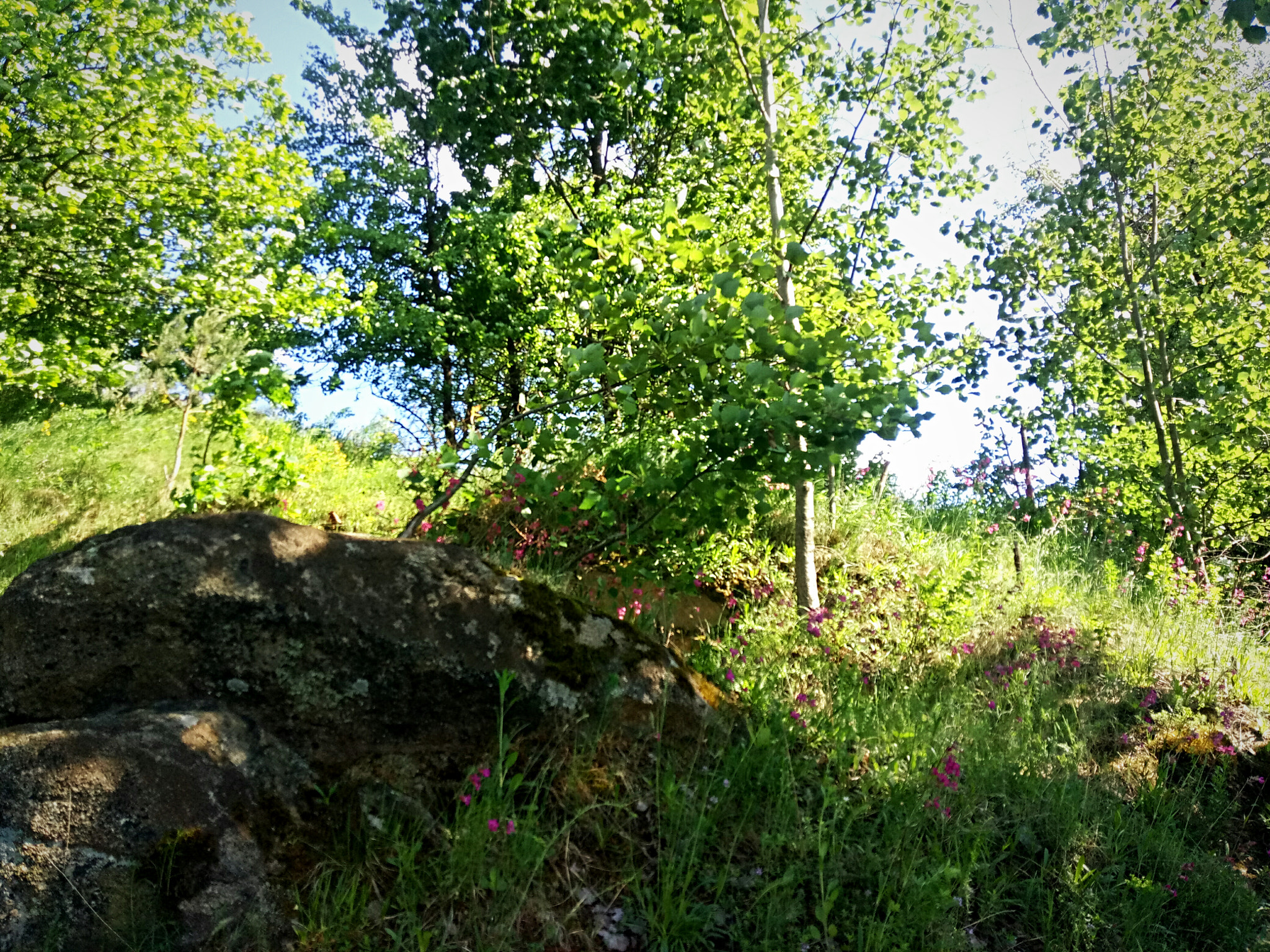 Meizu U20 sample photo
