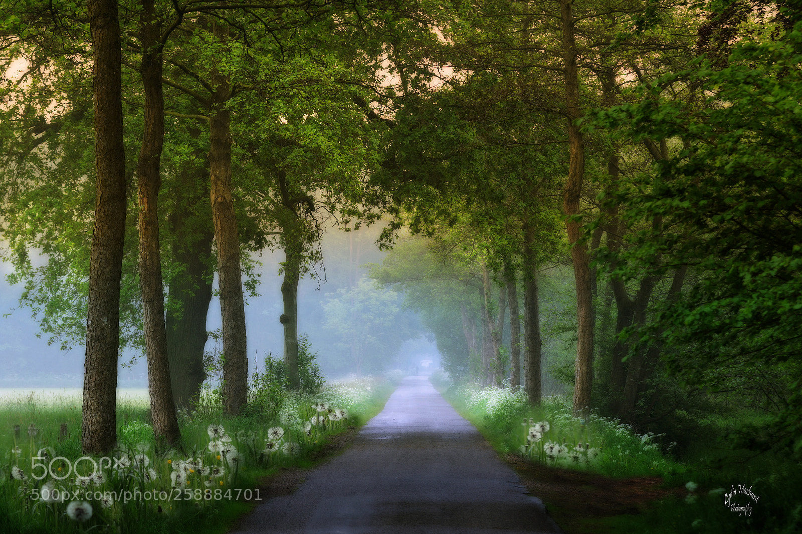 Canon EOS 7D Mark II sample photo. Spring roads photography