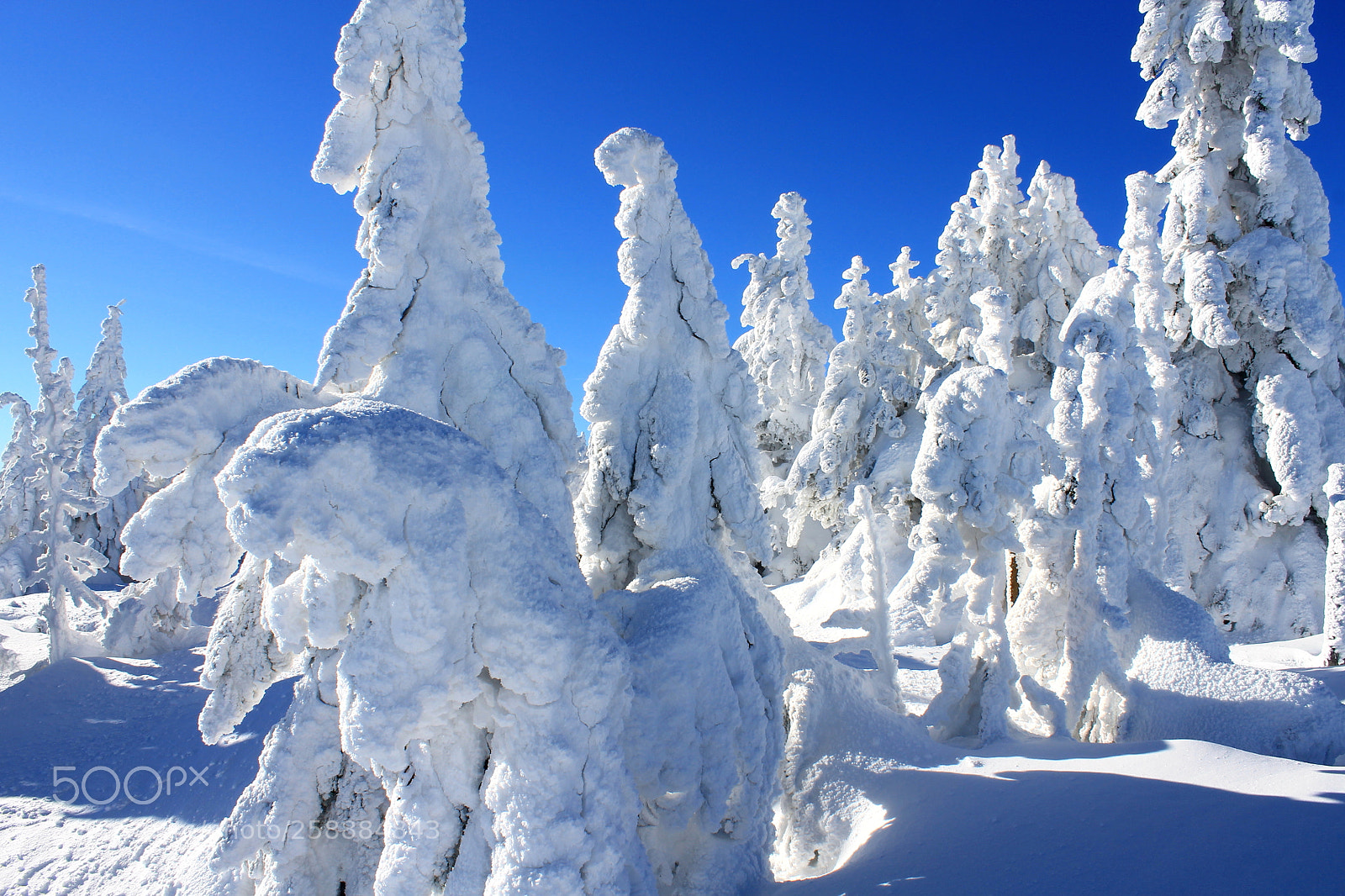 Canon EOS 1100D (EOS Rebel T3 / EOS Kiss X50) sample photo. Winter paradise photography