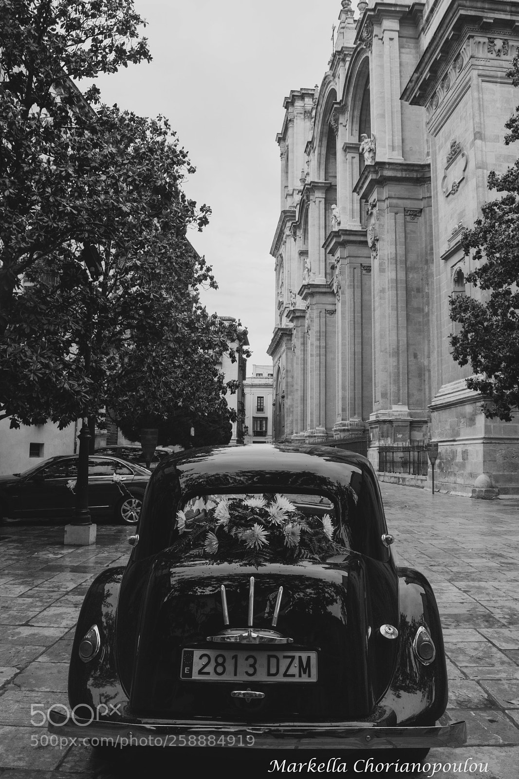 Nikon D3300 sample photo. Black and white photography