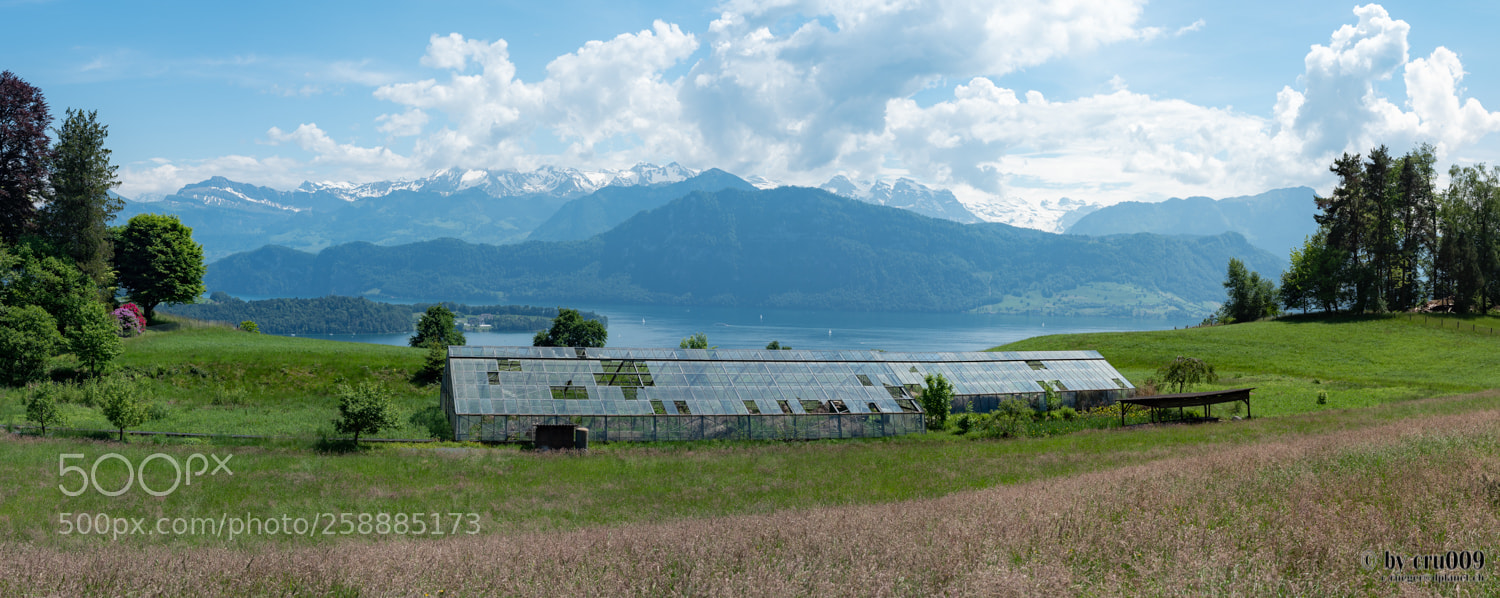 Nikon D750 sample photo. Meggen - nice view photography