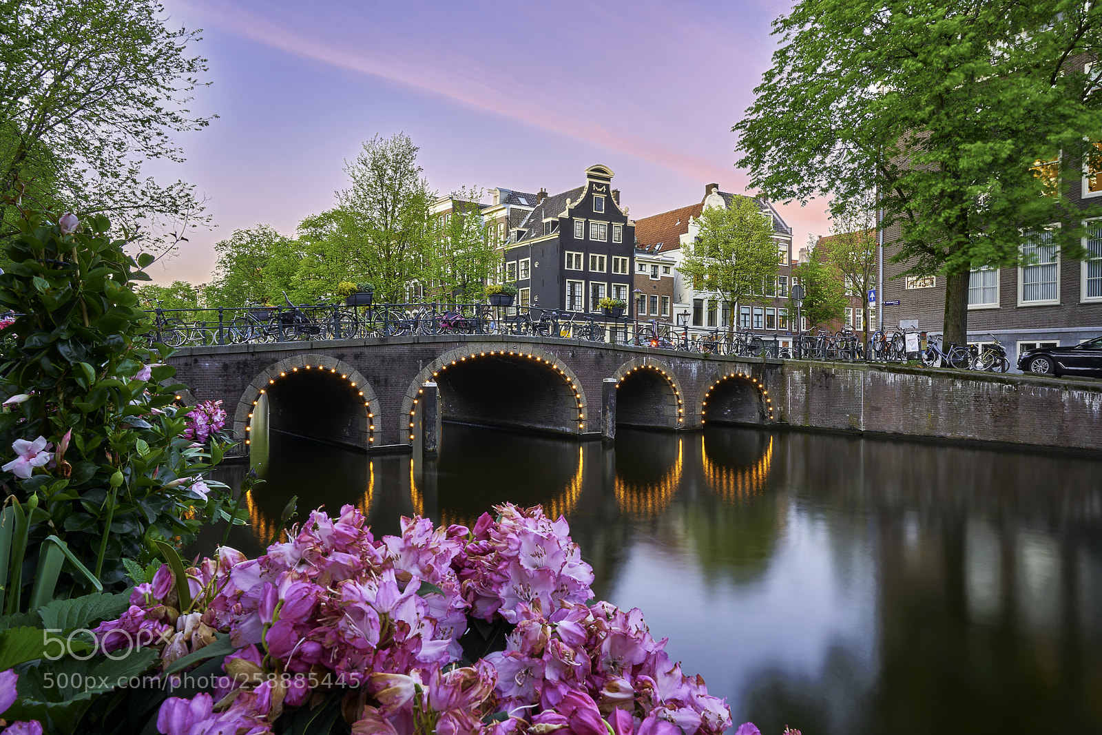 Sony a7R II sample photo. Amsterdam photography