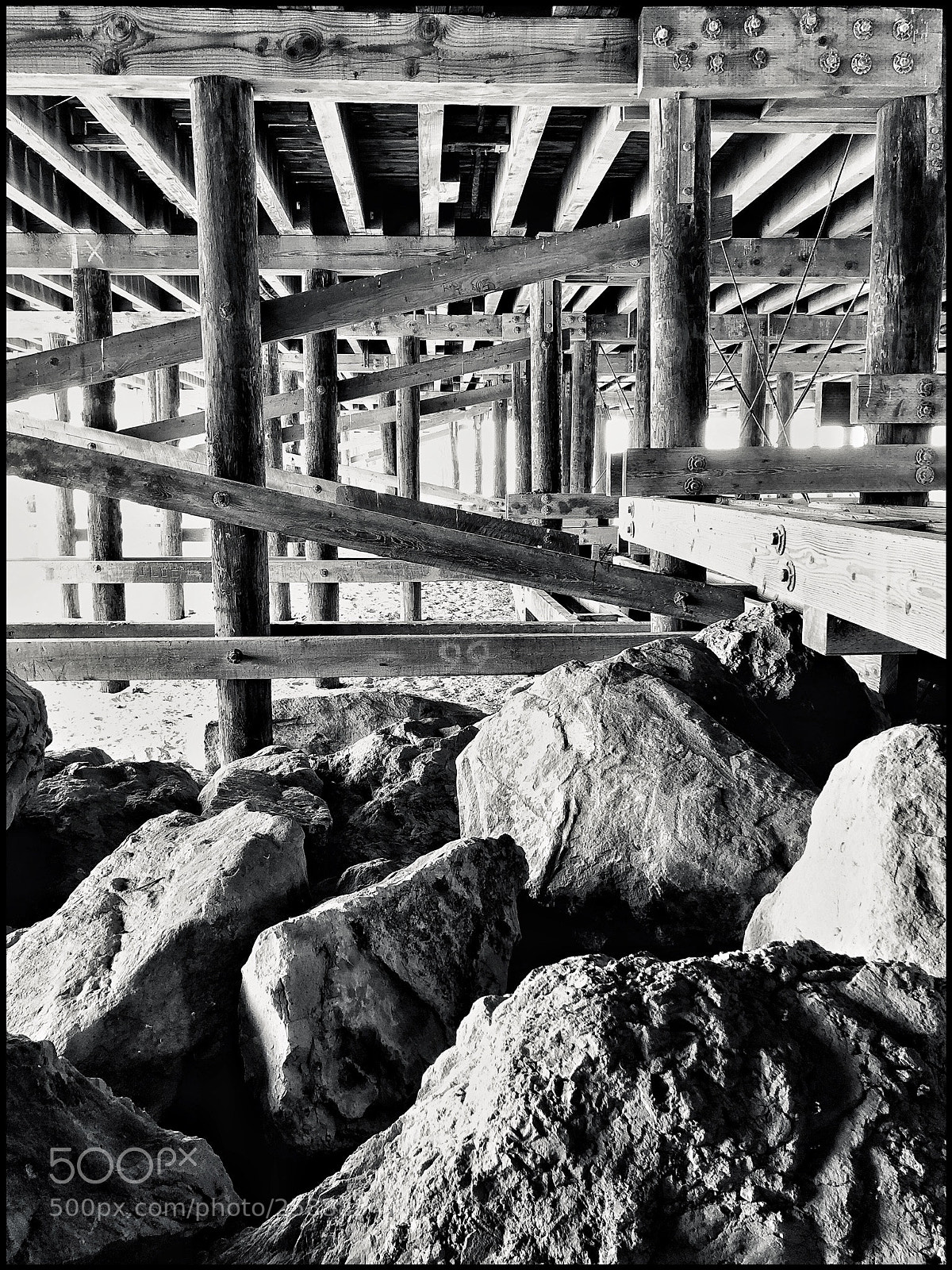 Apple iPhone X sample photo. View from below photography