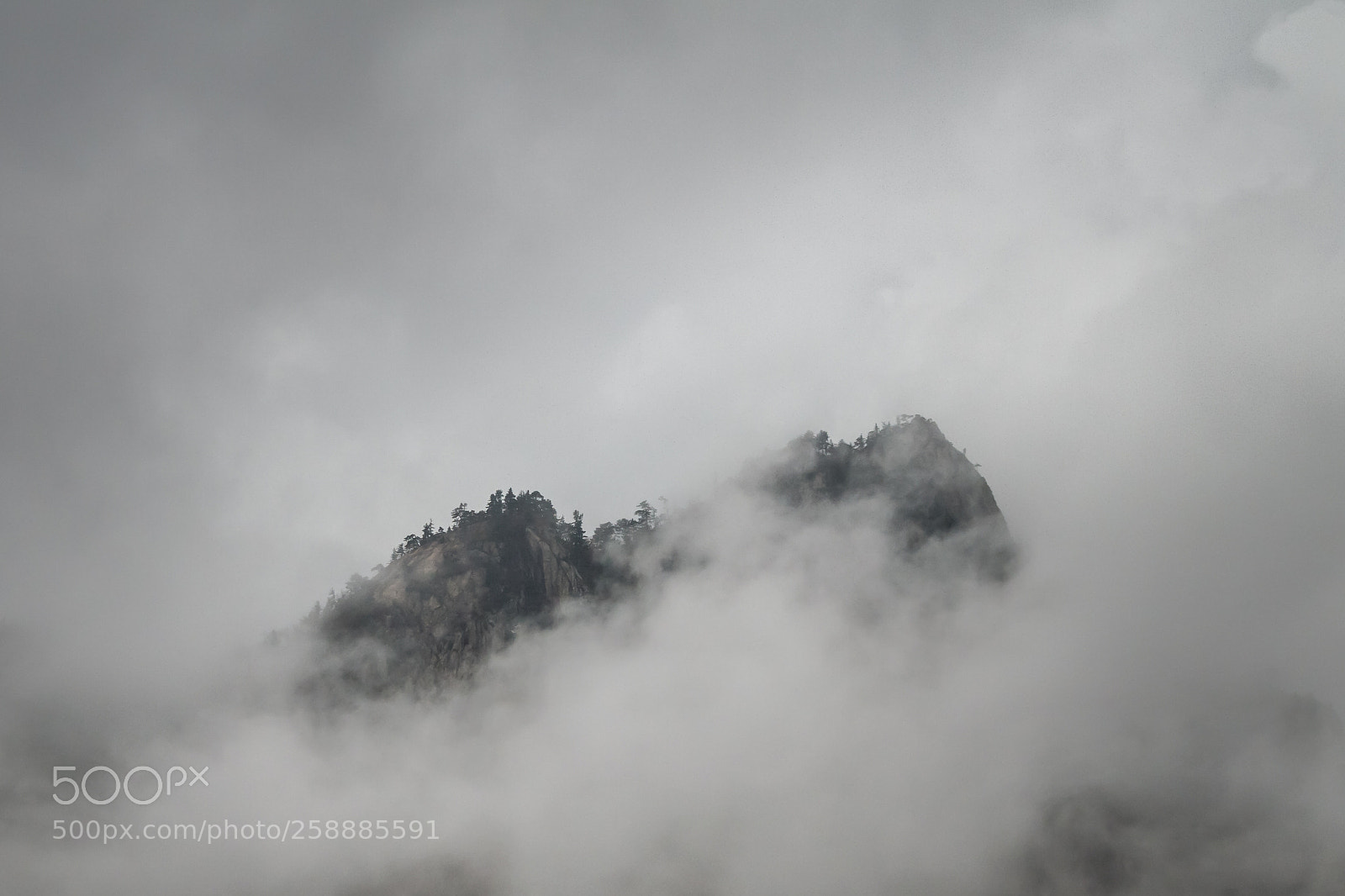 Canon EOS 7D sample photo. In the fog photography