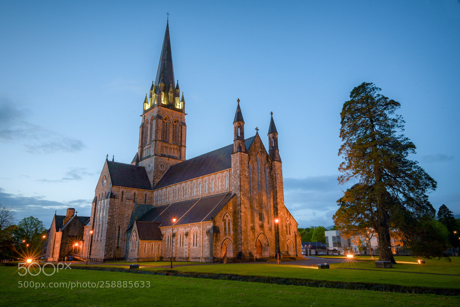 Nikon D750 sample photo. St. mary's killarney by photography