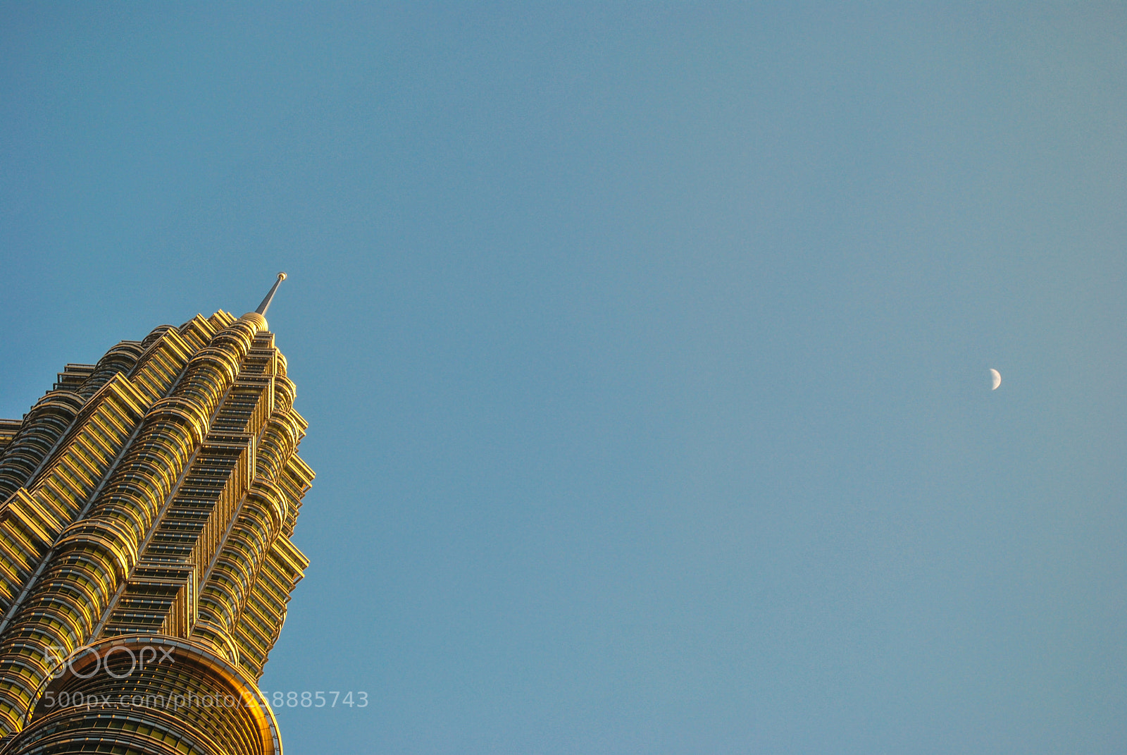 Nikon D3000 sample photo. Almost reaching it! photography
