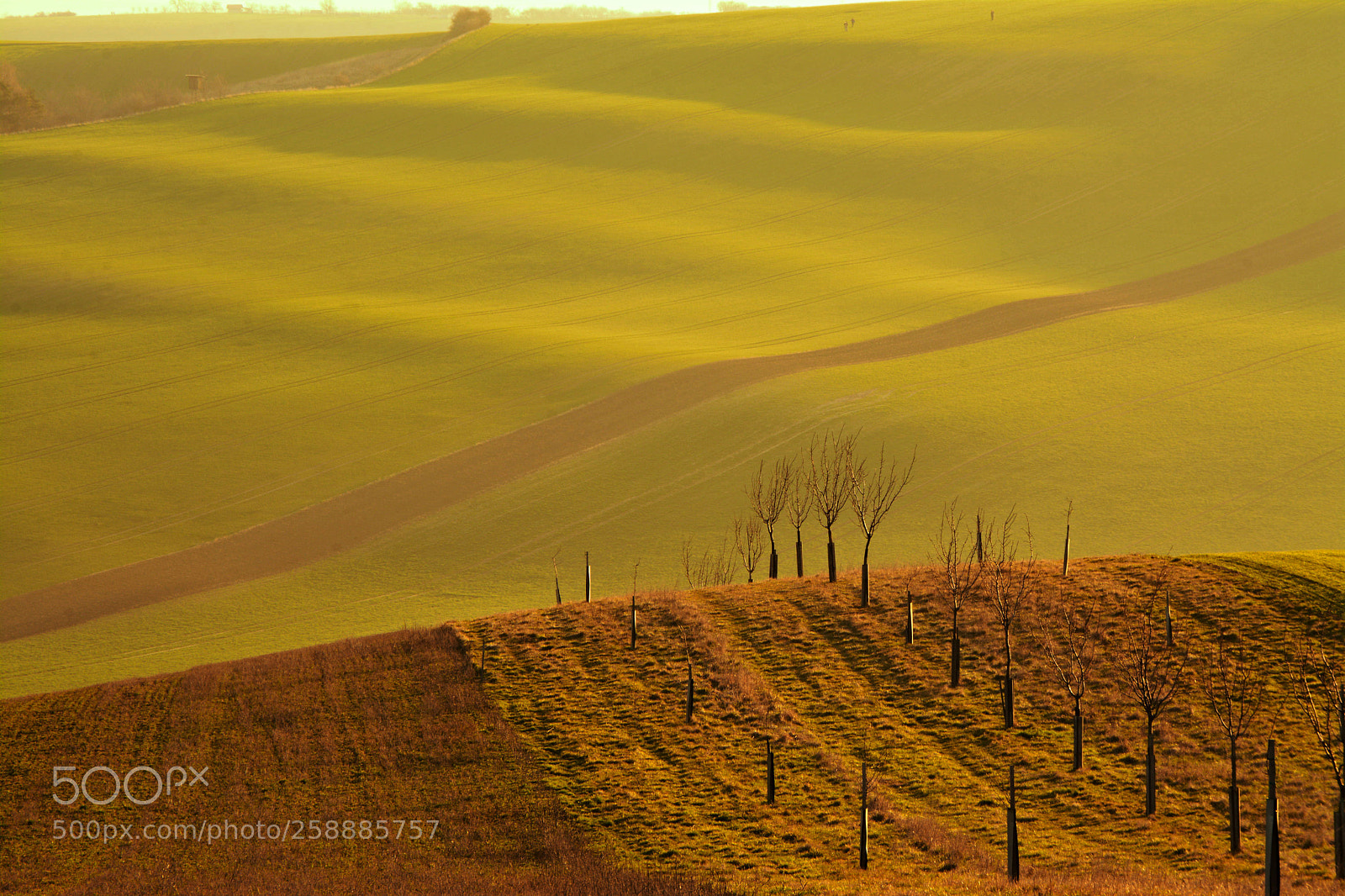 Nikon D7100 sample photo. South moravia photography