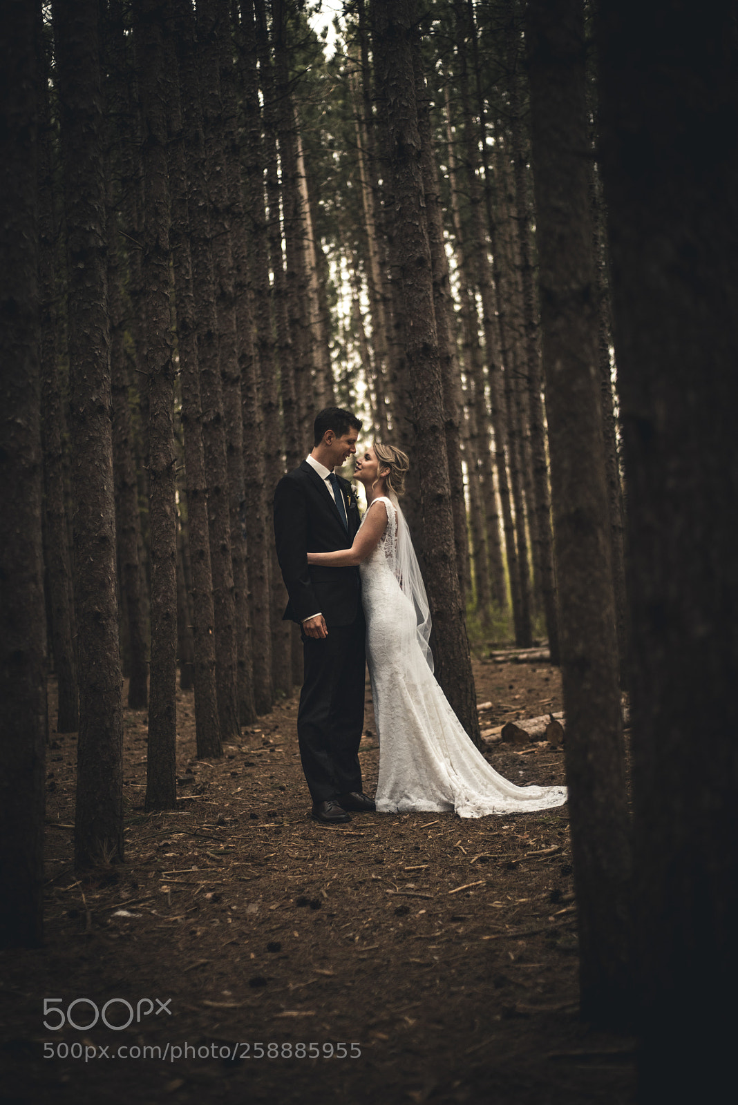 Nikon D810 sample photo. Alone together photography