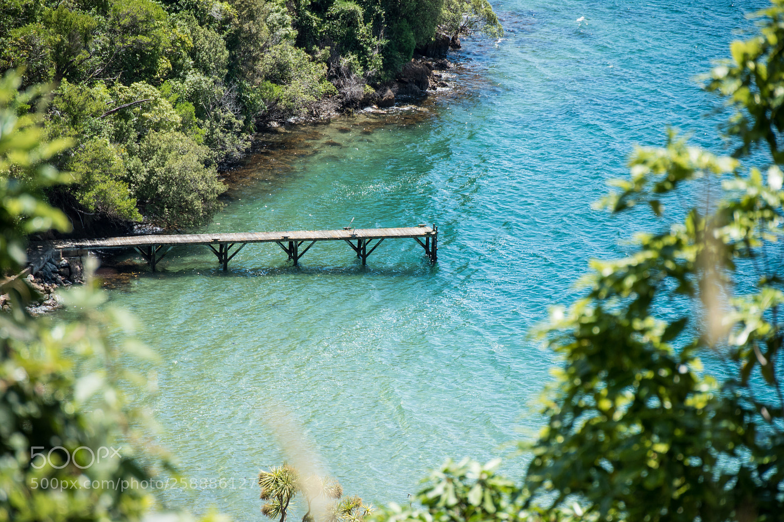 Nikon D5500 sample photo. Newzealand photography