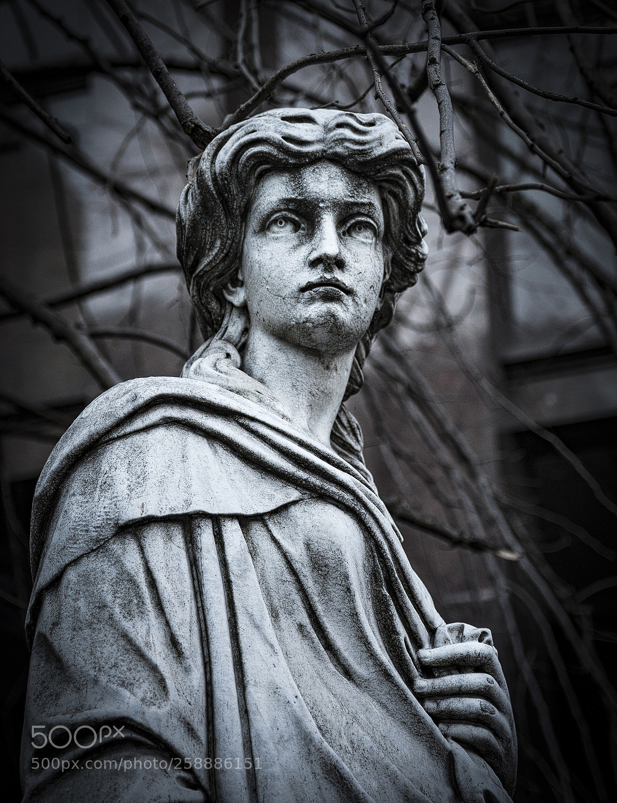 Canon EOS 40D sample photo. Escultura en defensa y photography
