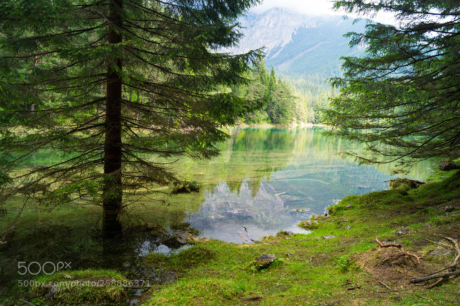Sony SLT-A58 sample photo. Grüner see photography