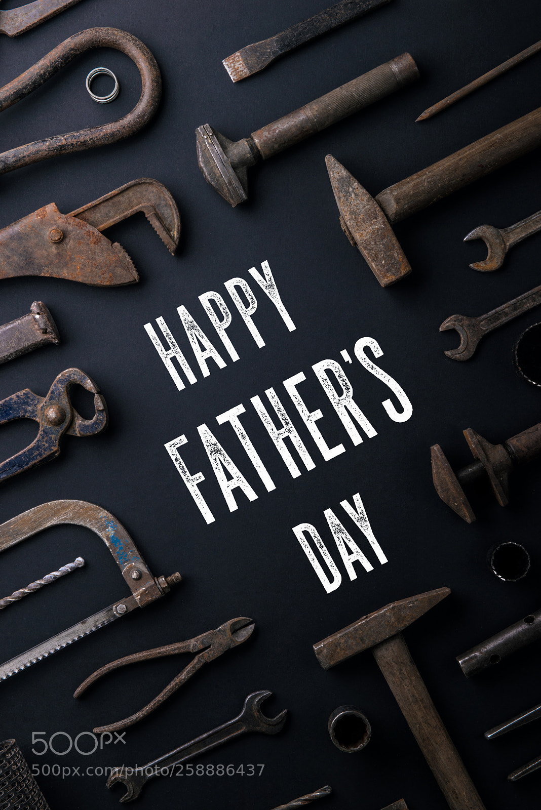 Nikon D800 sample photo. Fathers day greeting card photography
