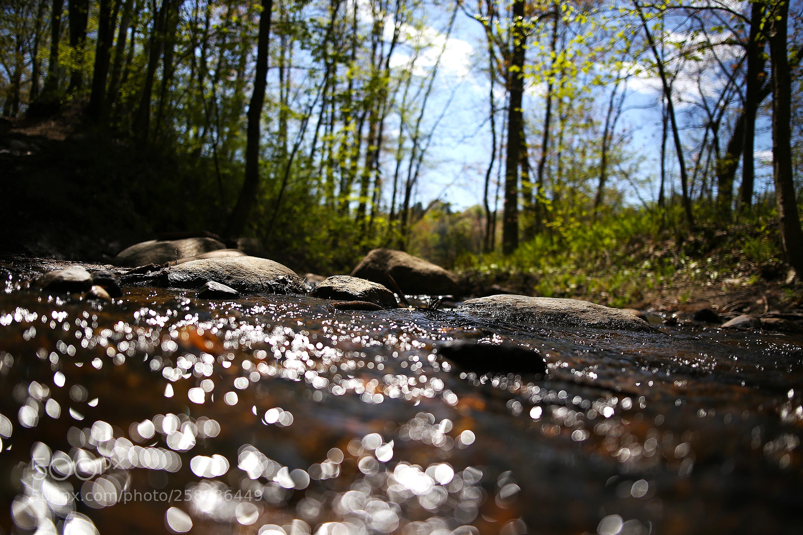 Canon EOS 6D sample photo. Le ruisseau photography