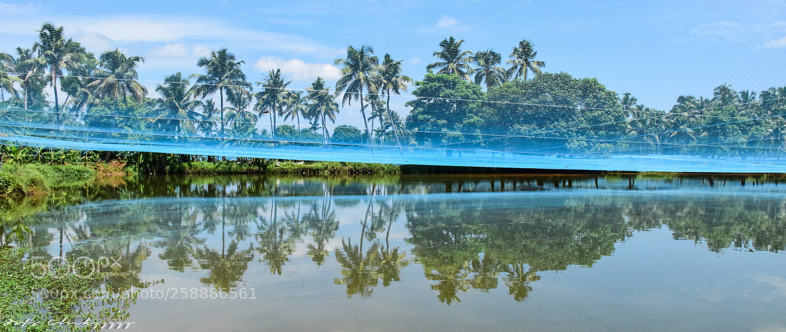 Nikon D5300 sample photo. Reflections photography