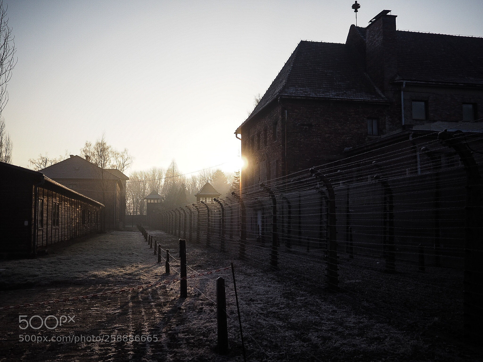 Olympus OM-D E-M5 II sample photo. Auschwitzdawn photography