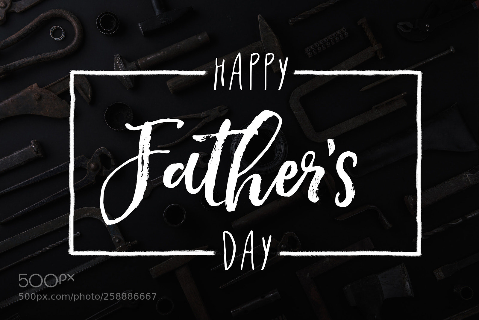 Nikon D800 sample photo. Fathers day greeting card photography