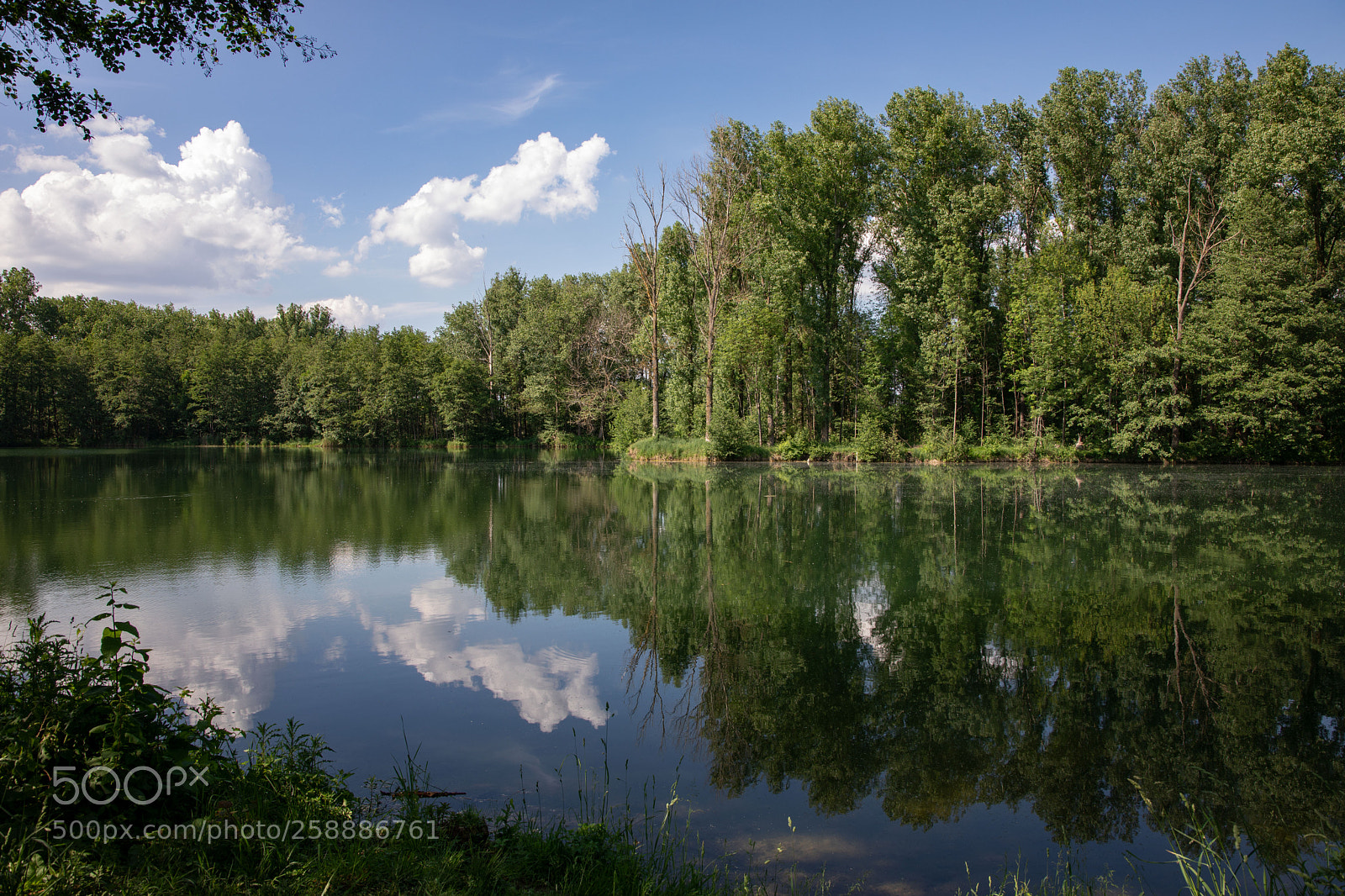 Canon EOS 5D Mark IV sample photo. Reflections photography