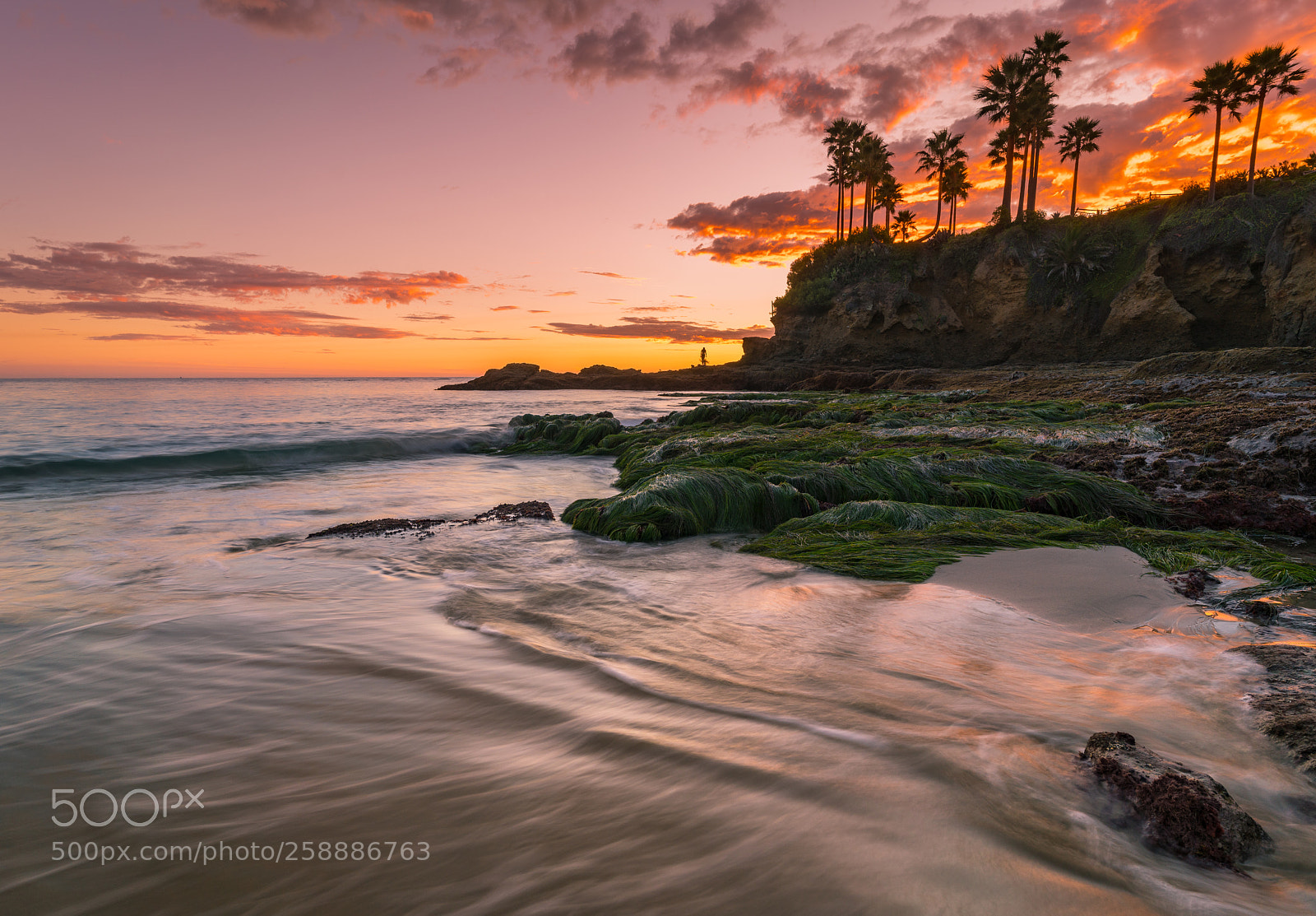 Sony a7R II sample photo. Shaws cove photography