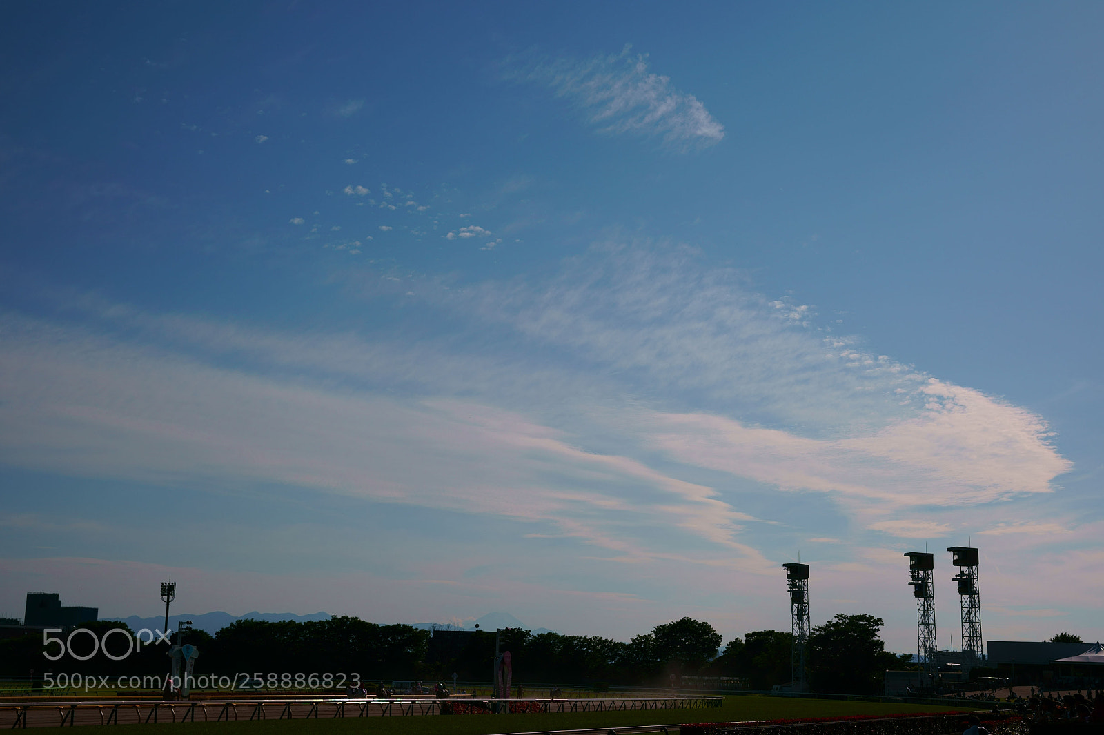 Sony a9 sample photo. Tokyo race course photography