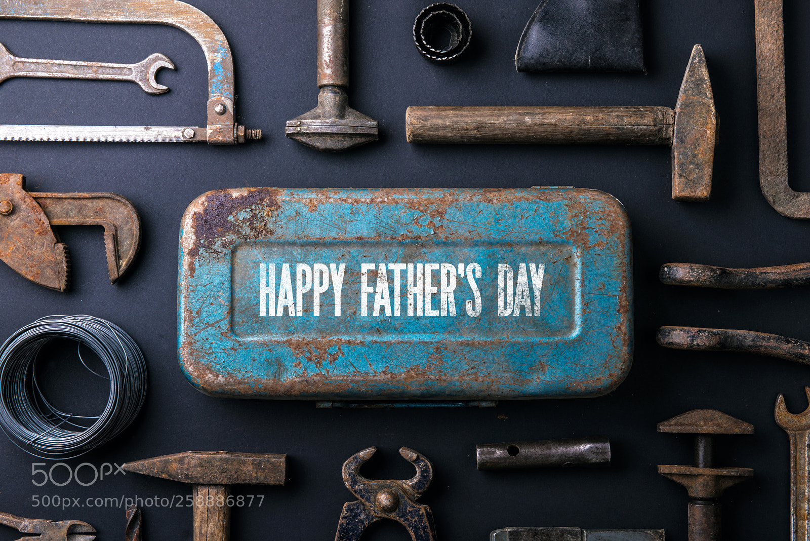 Nikon D800 sample photo. Fathers day greeting card photography