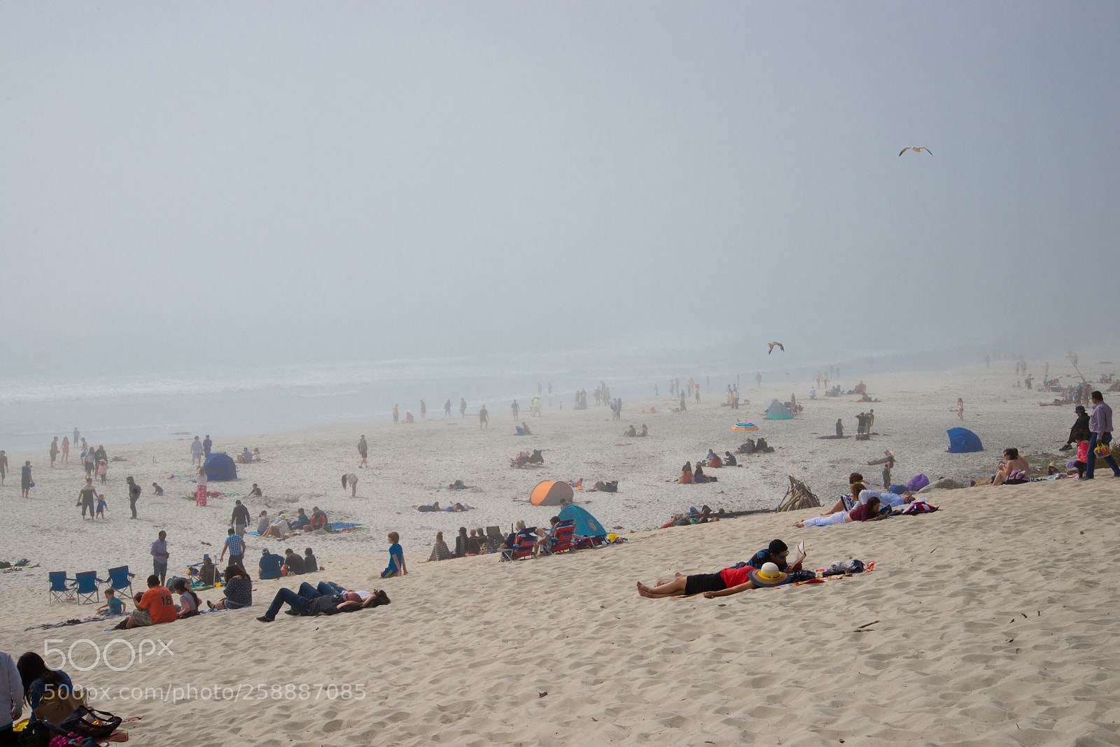 Nikon D610 sample photo. Carmel beach photography