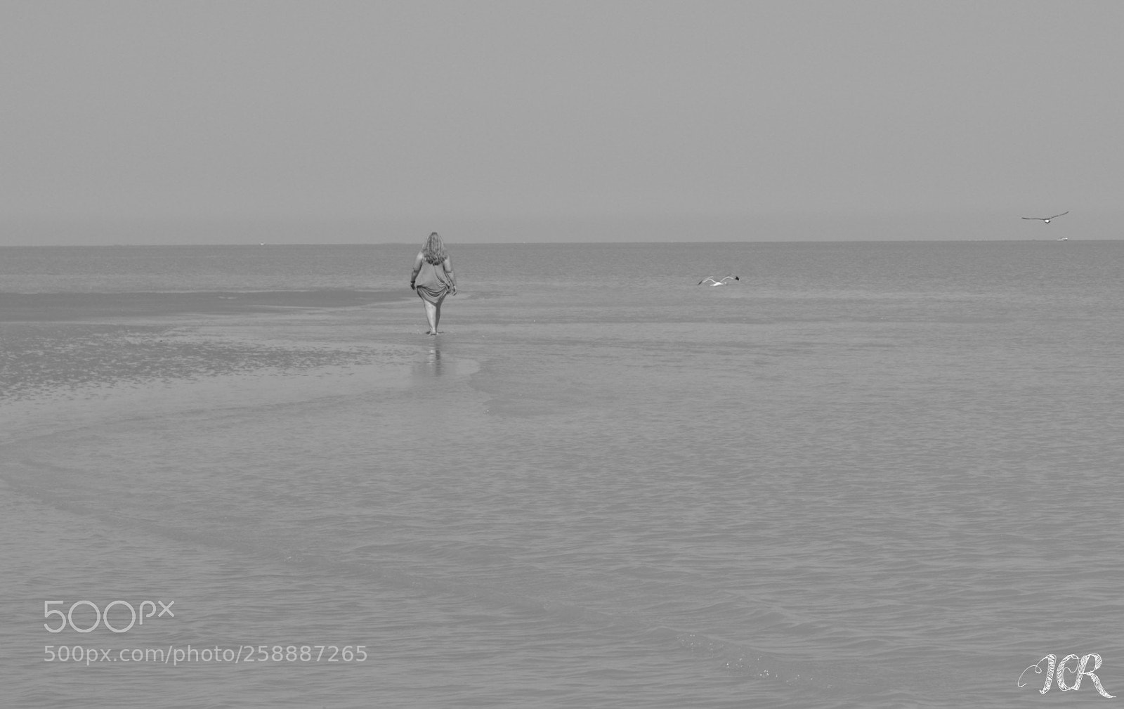 Nikon D5200 sample photo. Playa photography