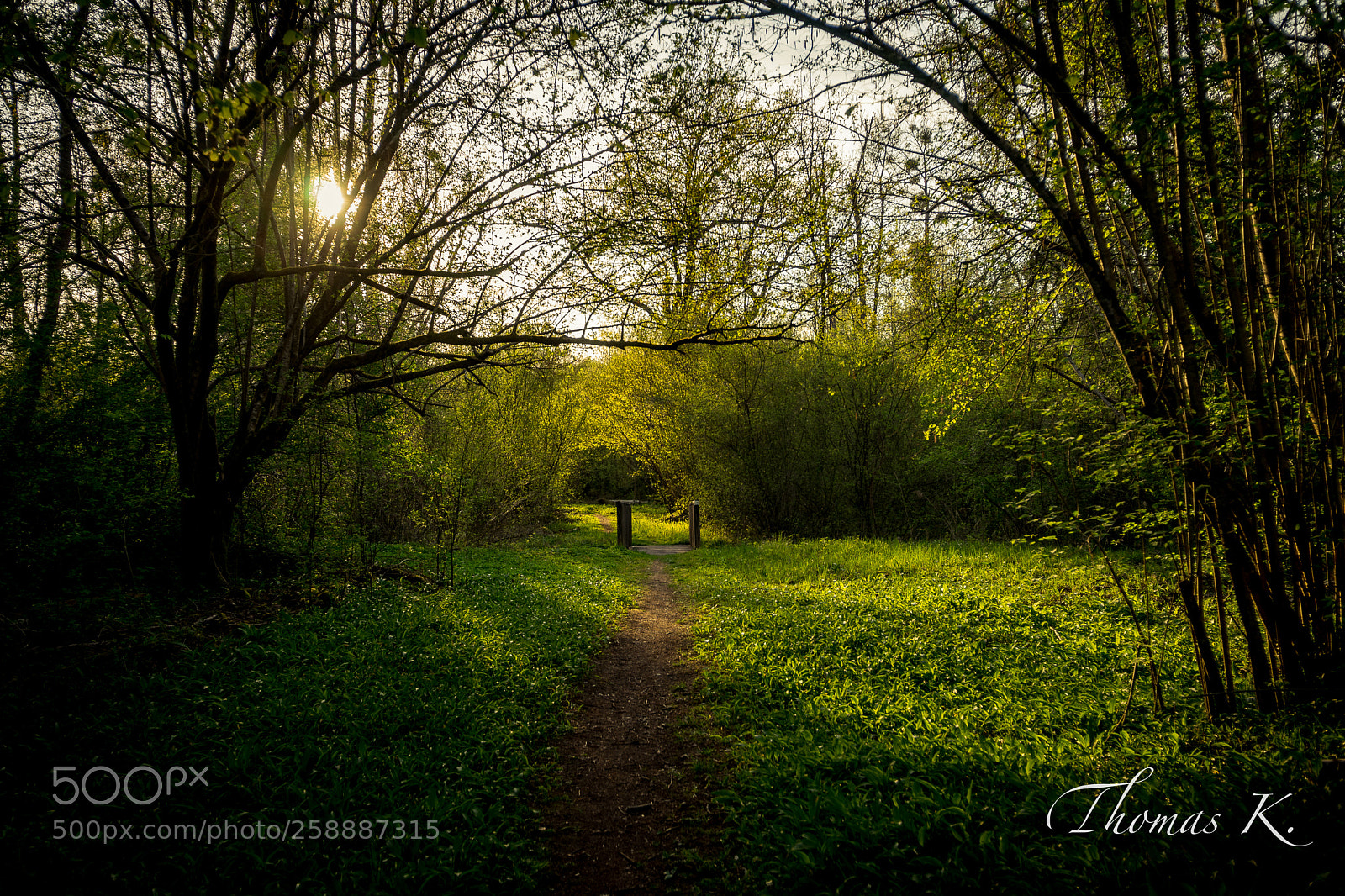 Sony a7 sample photo. The small bridge in photography
