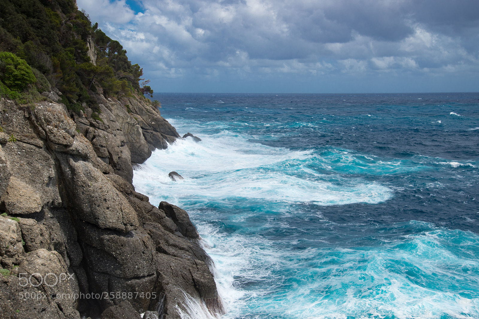 Nikon D610 sample photo. Portofino surf photography